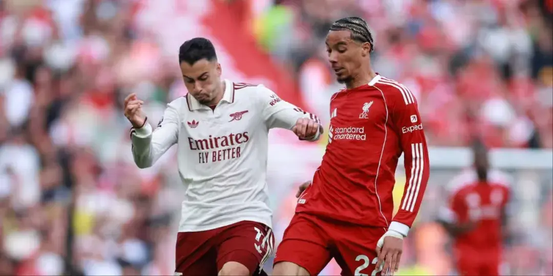 梅里诺并非, 恐怕得回板, amp